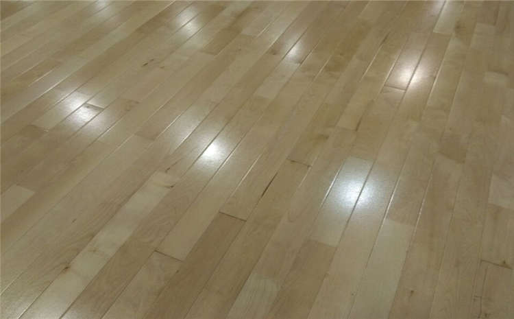 專業的木地板籃球館哪個品牌好？